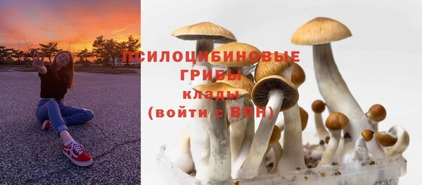 индика Богородск