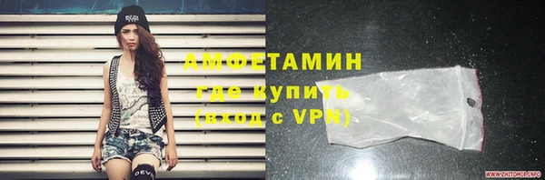 индика Богородск