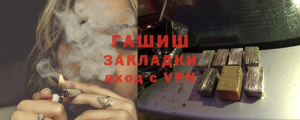 индика Богородск