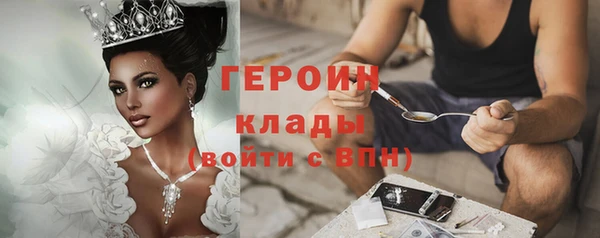 индика Богородск