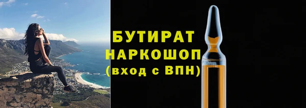 индика Богородск