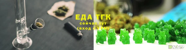 индика Богородск
