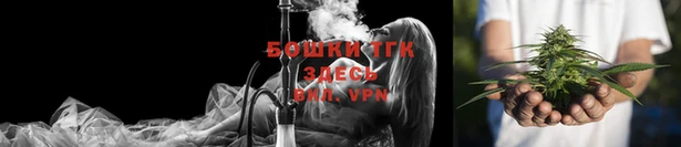 индика Богородск