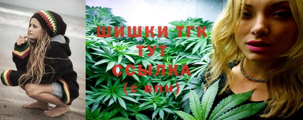 индика Богородск