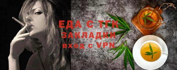 индика Богородск