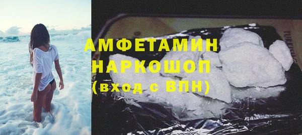 индика Богородск