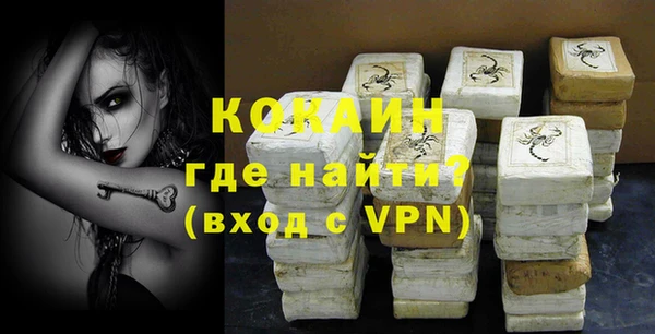 индика Богородск