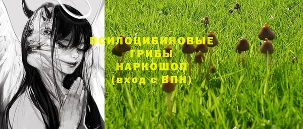 ешки Богданович
