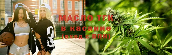 индика Богородск