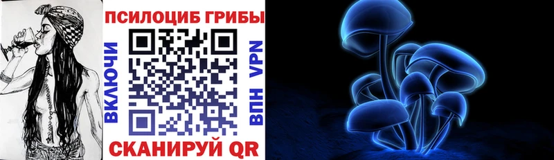 мега tor  Ильский  Галлюциногенные грибы мицелий 